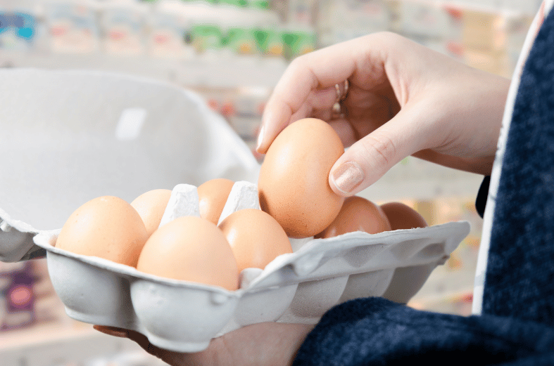 Telur ayam negeri